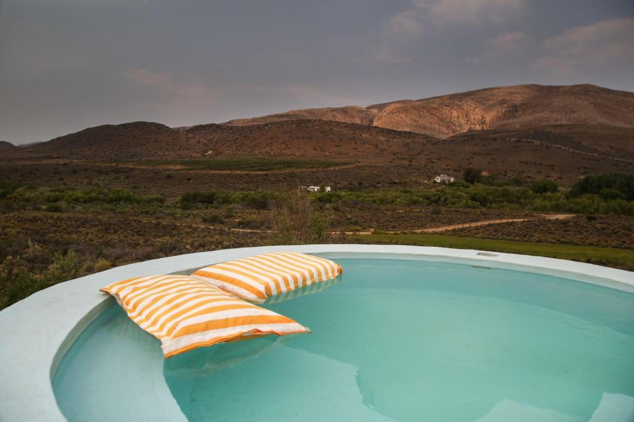 Gasthaus Vrisch Gewagt Boutique Self-Catering Olive Farm Prince Albert Exterior foto