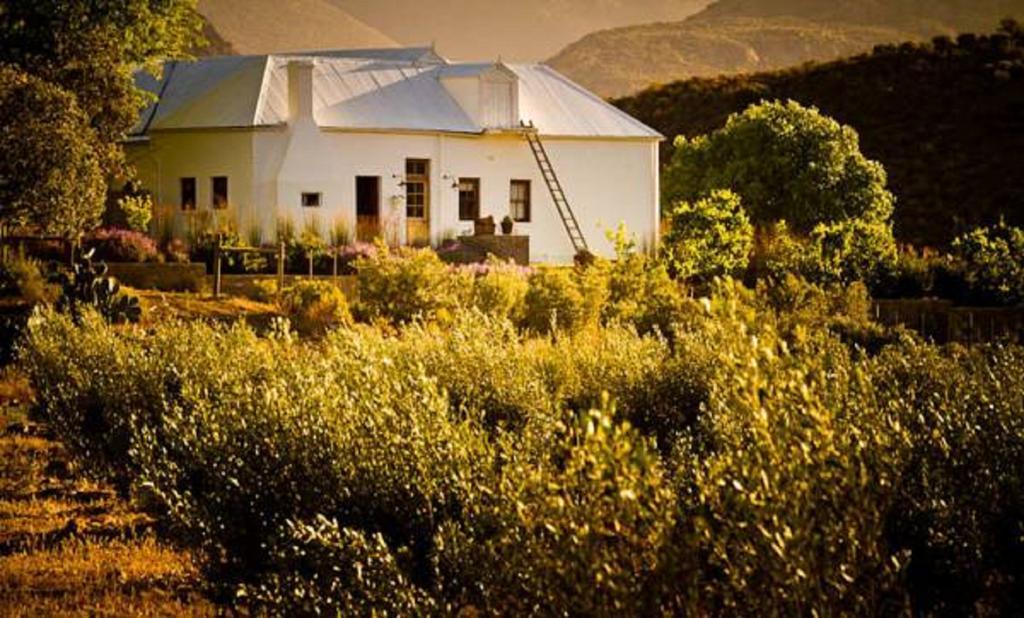 Gasthaus Vrisch Gewagt Boutique Self-Catering Olive Farm Prince Albert Exterior foto
