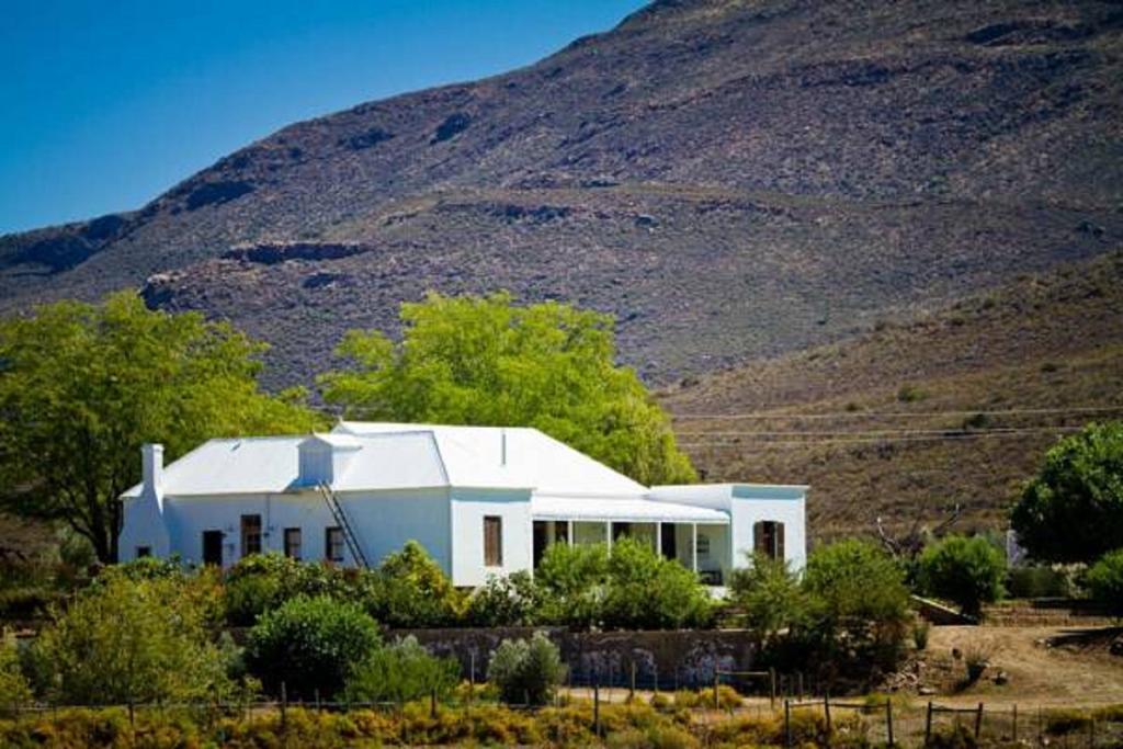 Gasthaus Vrisch Gewagt Boutique Self-Catering Olive Farm Prince Albert Exterior foto