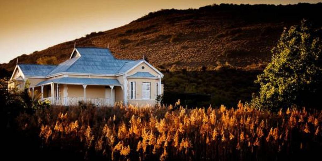 Gasthaus Vrisch Gewagt Boutique Self-Catering Olive Farm Prince Albert Exterior foto