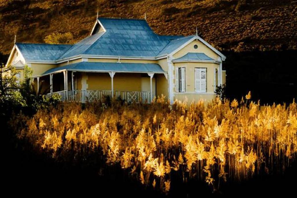 Gasthaus Vrisch Gewagt Boutique Self-Catering Olive Farm Prince Albert Exterior foto