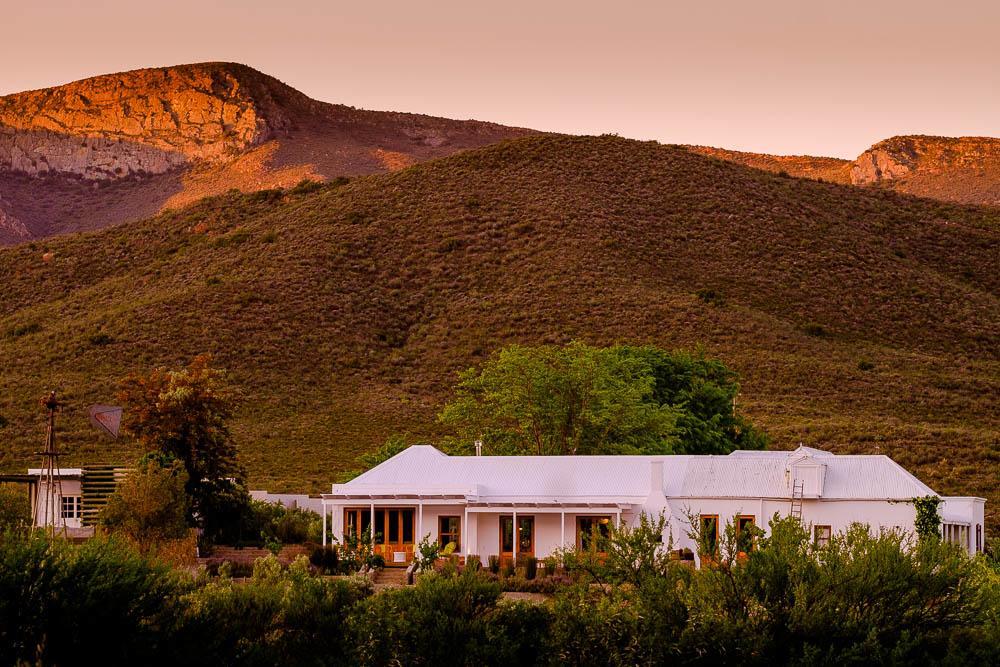 Gasthaus Vrisch Gewagt Boutique Self-Catering Olive Farm Prince Albert Exterior foto